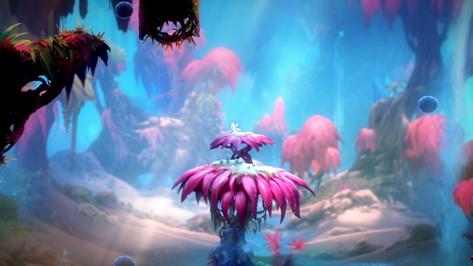 开云网页版-全国攀岩联赛：高墙之上的荣耀追逐，全国攀岩锦标赛每年举办几次