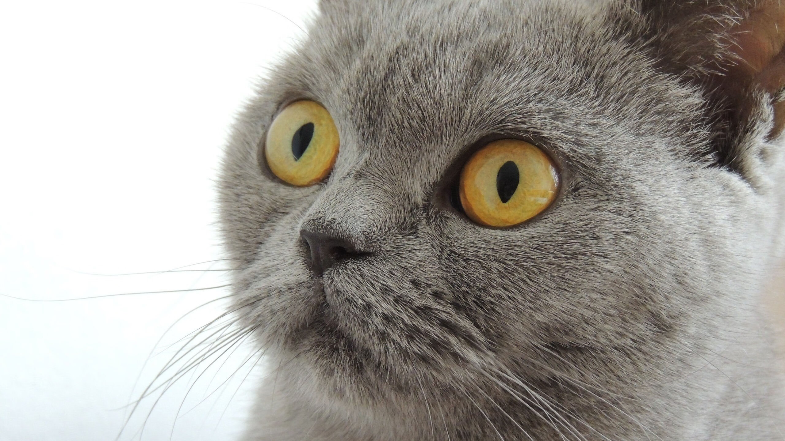 Kaiyun(中国)开云-体育场馆智能化改造，保障中国篮球赛事顺利举行，篮球体育场馆管理系统