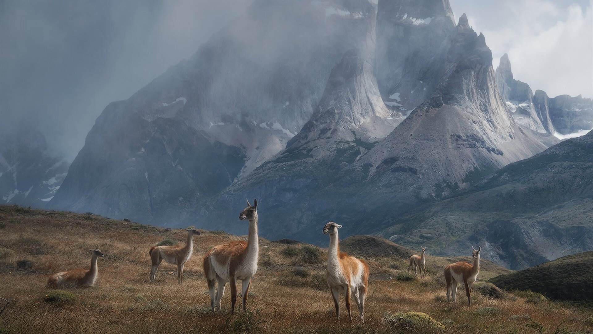 体育场馆智能化改造,保障中国篮球赛事顺利举行,篮球体育场馆管理系统