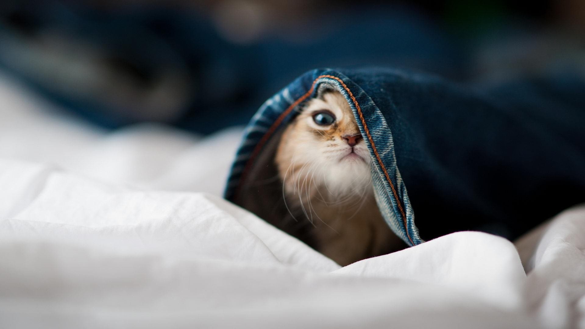 全国青少年篮球锦标赛精彩纷呈,激发运动热情,2021年全国青少年篮球锦标赛