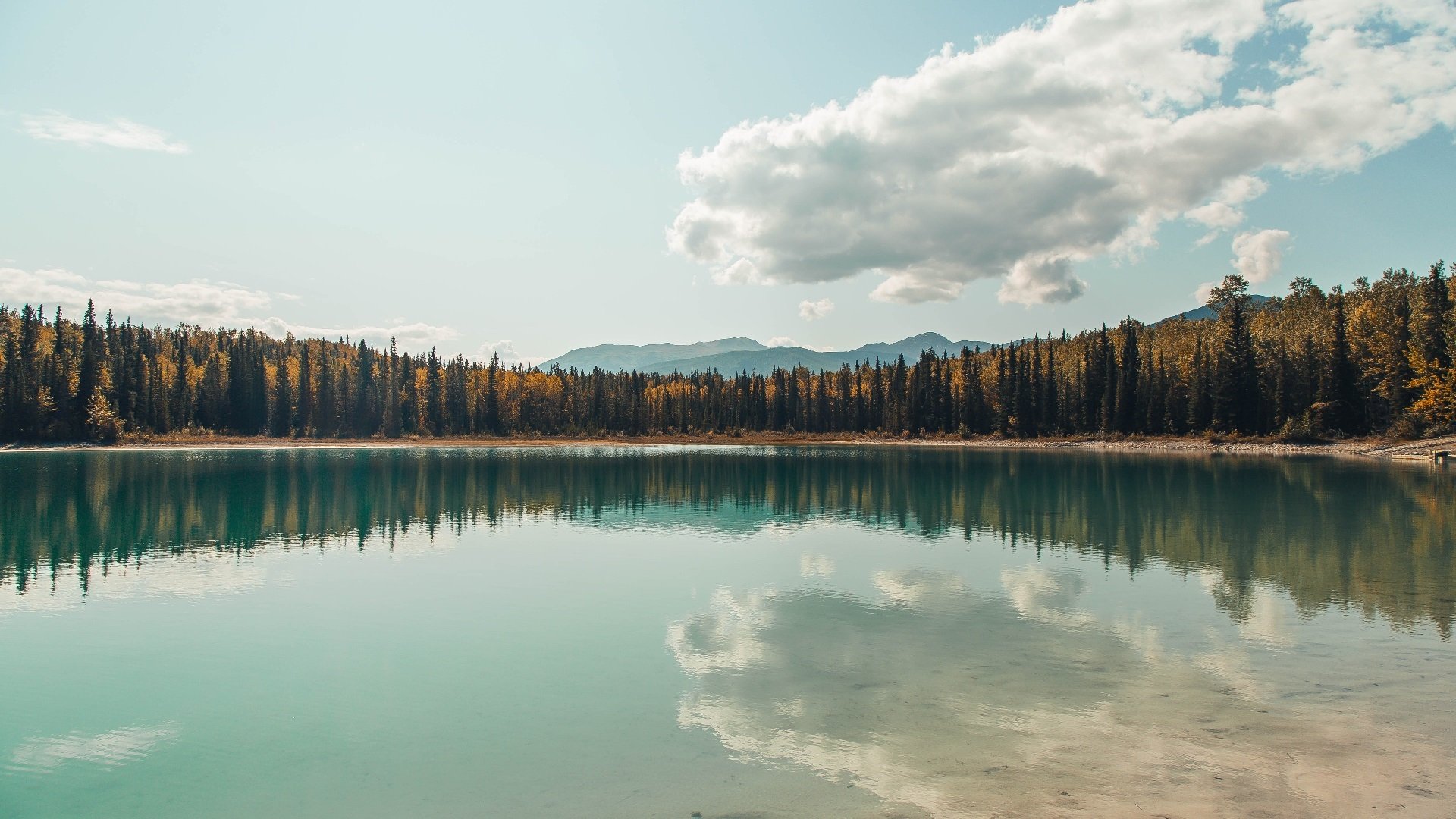 kaiyun.com-历史性决战：冠军宝座争夺白热化