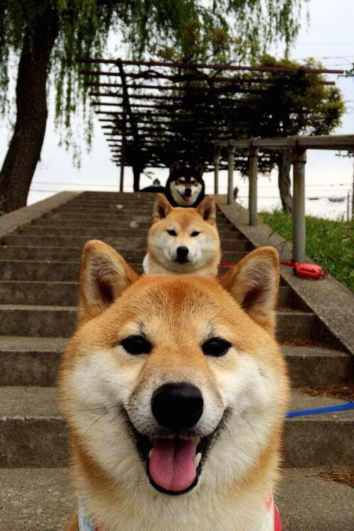 历史性决战:冠军宝座争夺白热化