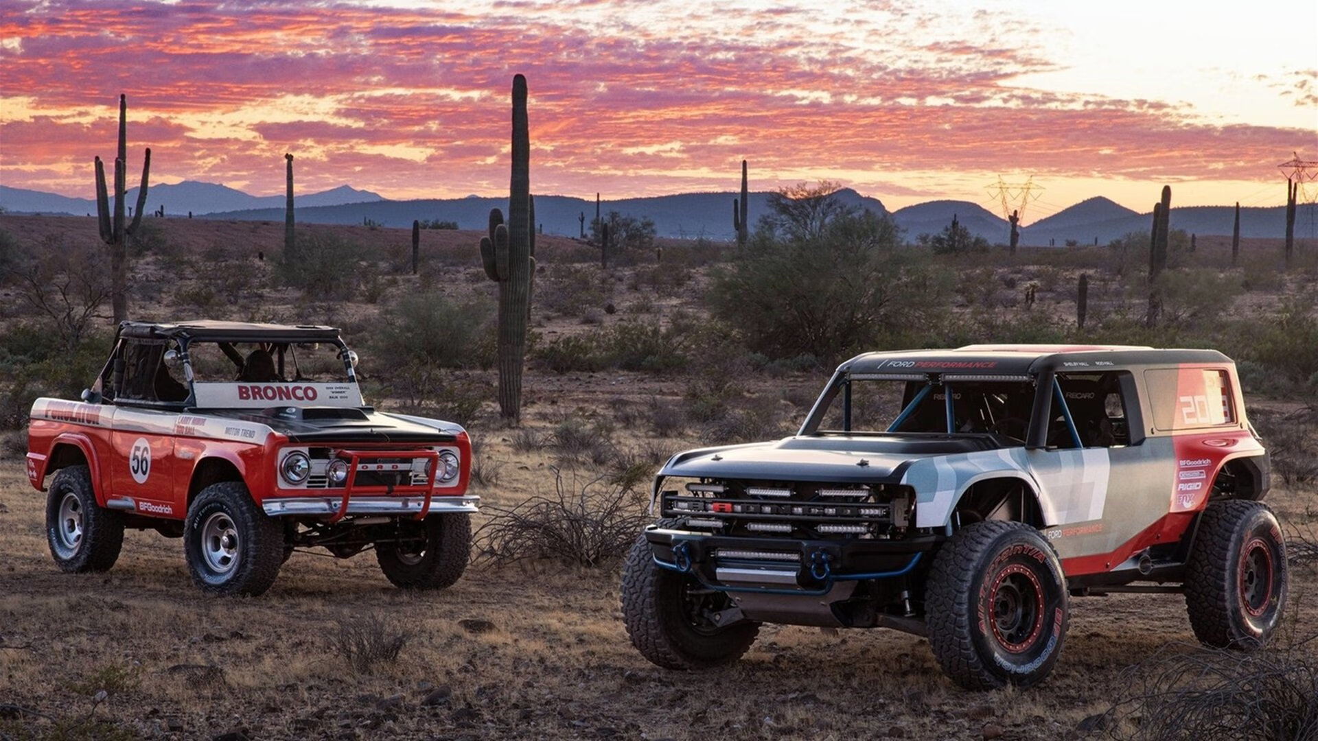 泰国马术协会与非洲马术协会开展技术援助项目,提升当地水平。