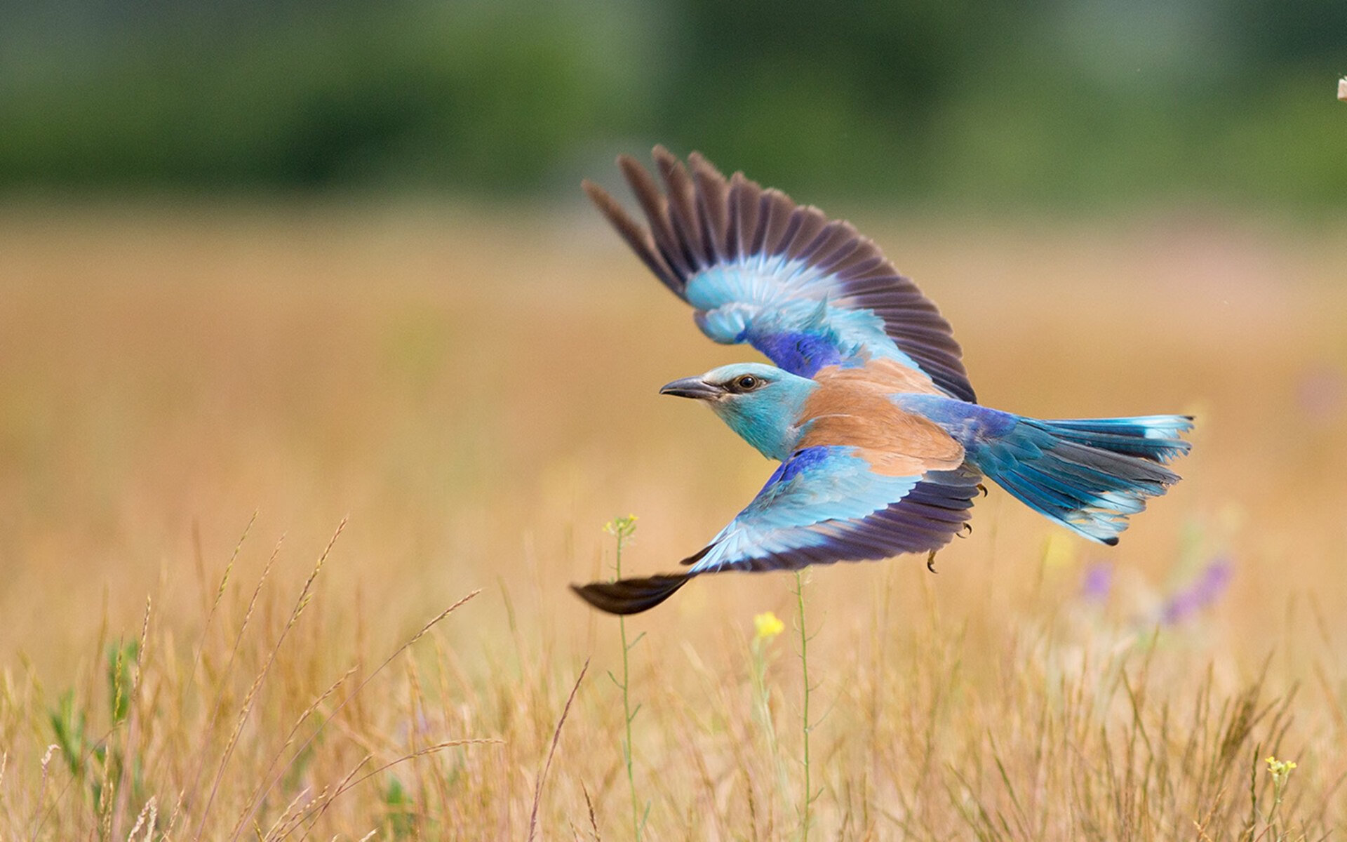 kaiyun中国官方网站-虚拟偶像电竞比赛首次亮相，创新融合带来新体验，虚拟 偶像