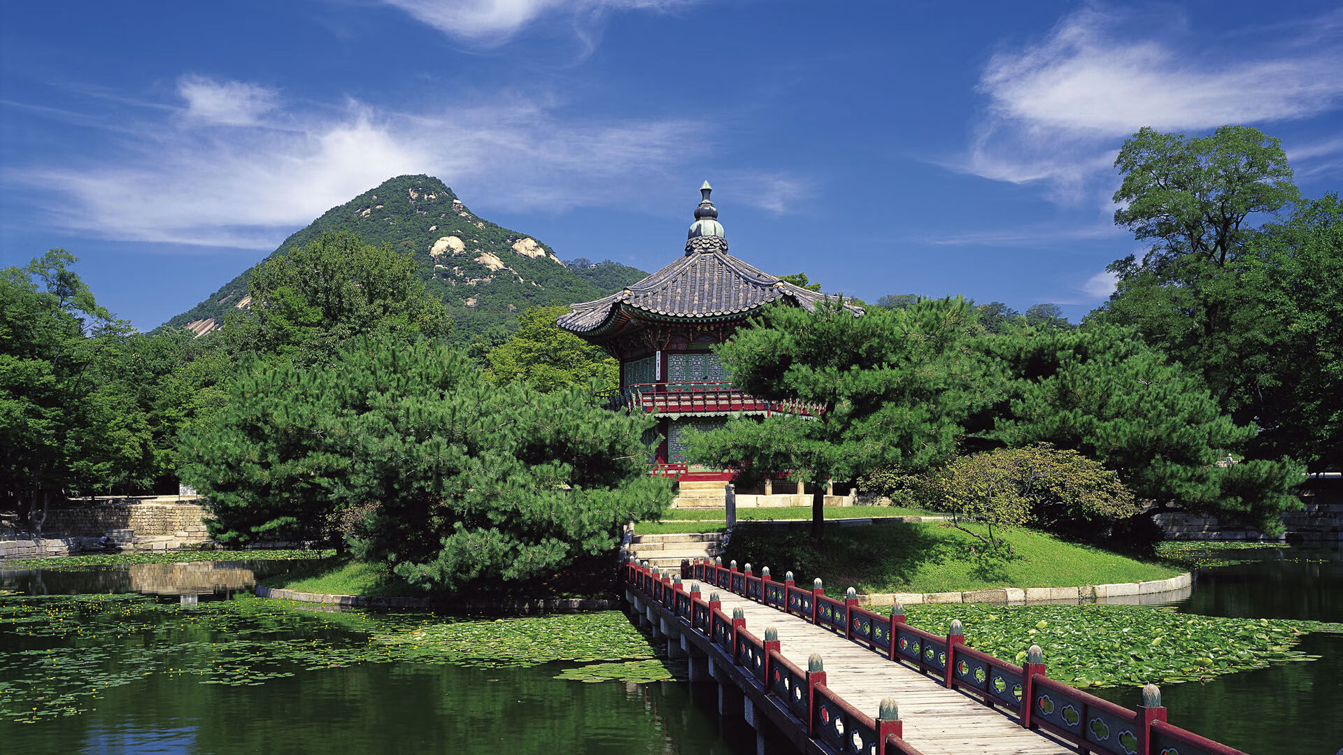 AC米兰-客负博洛尼亚,失去连胜,ac米兰vs博洛尼亚视频