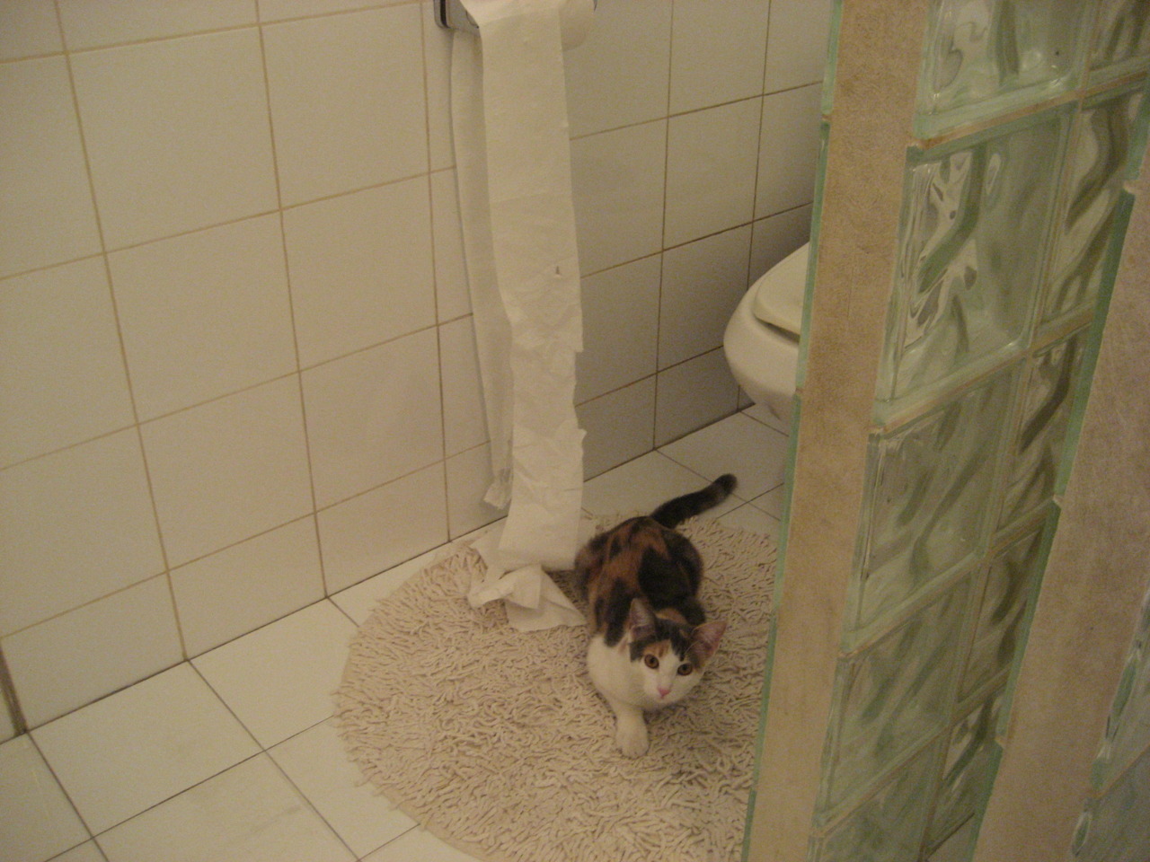 kaiyun中国官方网站-伊朗男足在巴黎奥运会上展现出强大的进攻火力，伊朗男足阵容