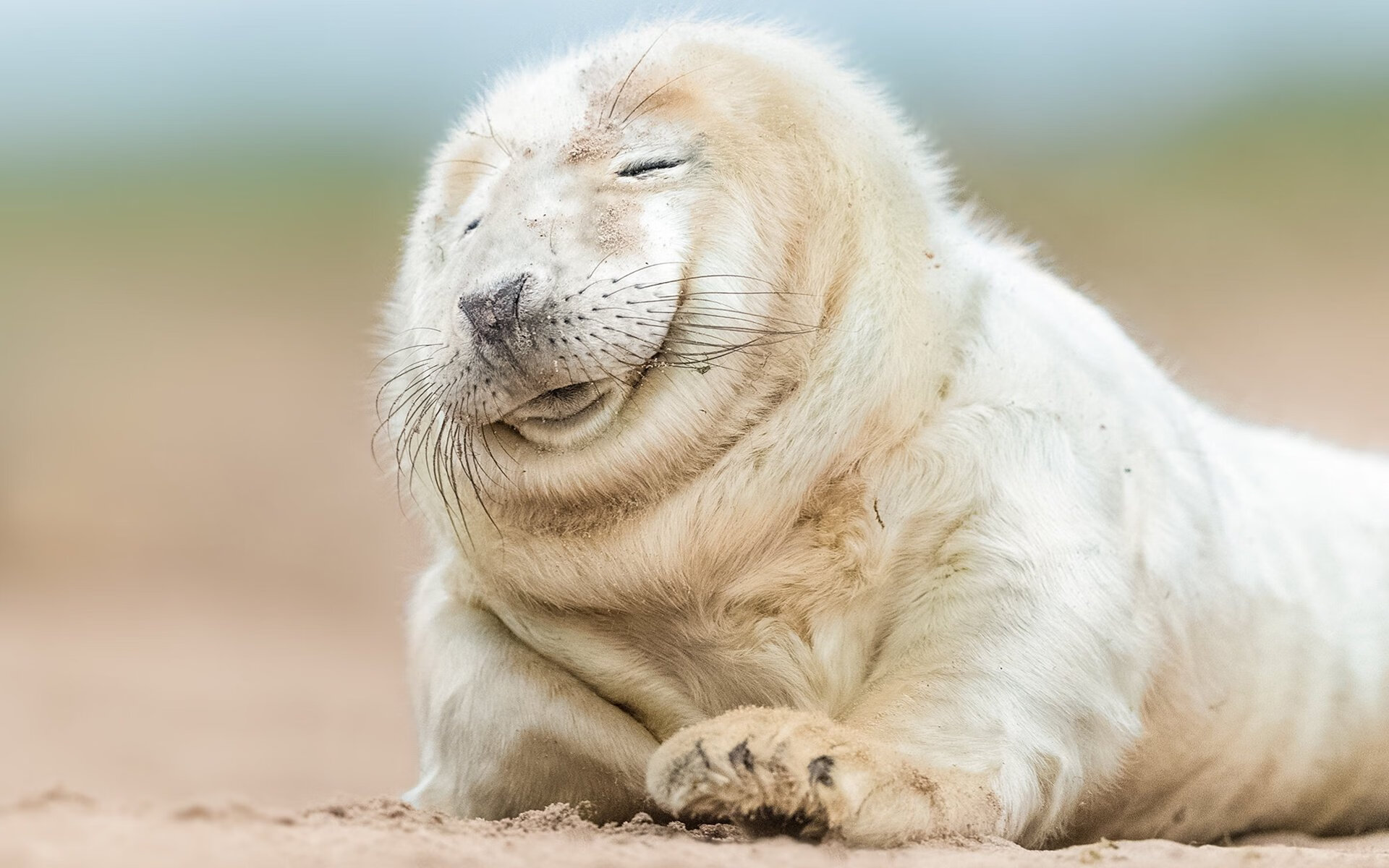 国际足坛中国崛起势不可挡 体育奇迹耀眼现身，国际足坛新闻