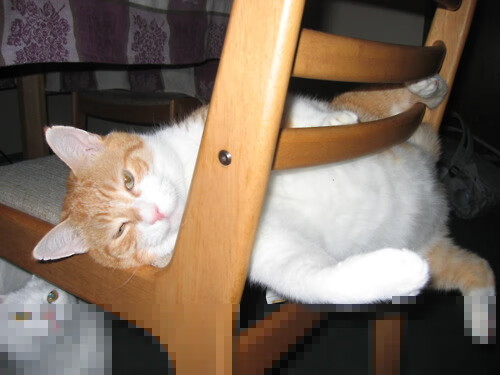 开云官网-梅西率队轻松取胜，巴萨升至积分榜第三，梅西巴萨比赛赛季