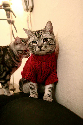 皇马功亏一篑,全队高层紧急开会商讨对策,皇马高层谈赢球