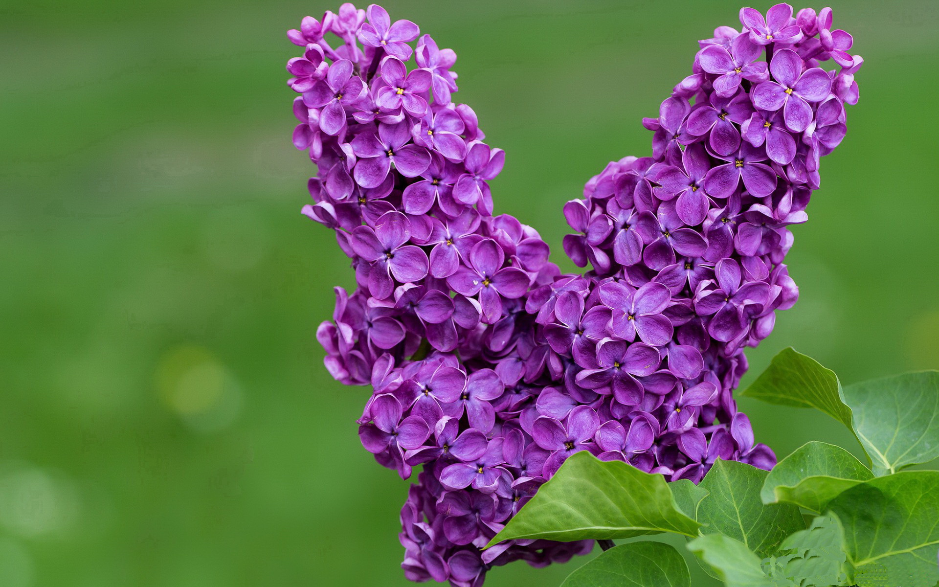 Kaiyun官方登录入口-维达德卡萨布兰卡签约新赞助商，提升品牌影响力，卡维达近期