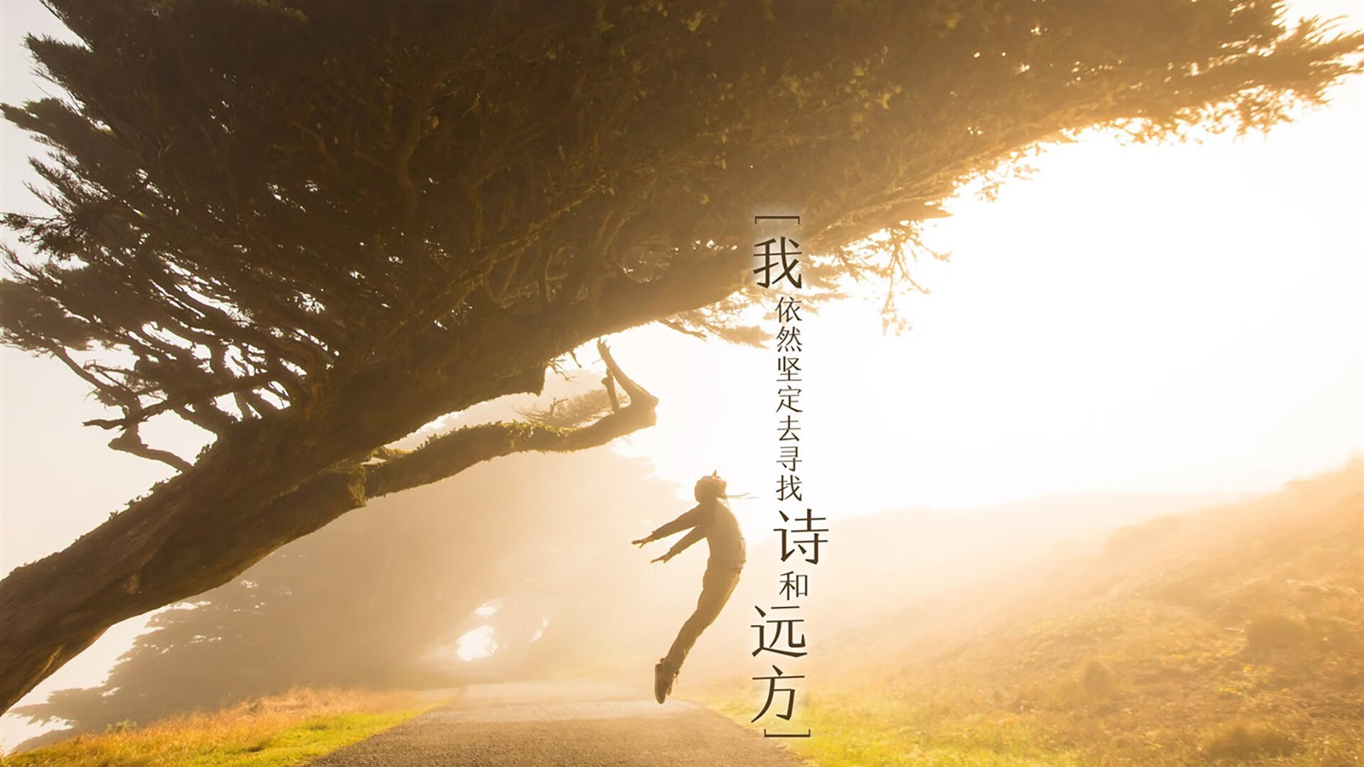 美国马术协会开展马匹福利宣传活动,提升公众意识。,美国马术协会polo