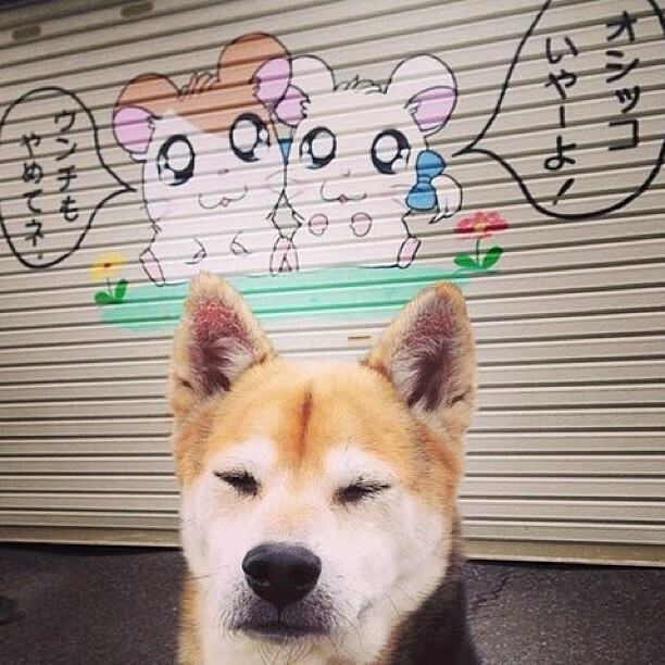 雷纳尔杰屡建功勋,领队迎战半决赛,雷纳什么水平