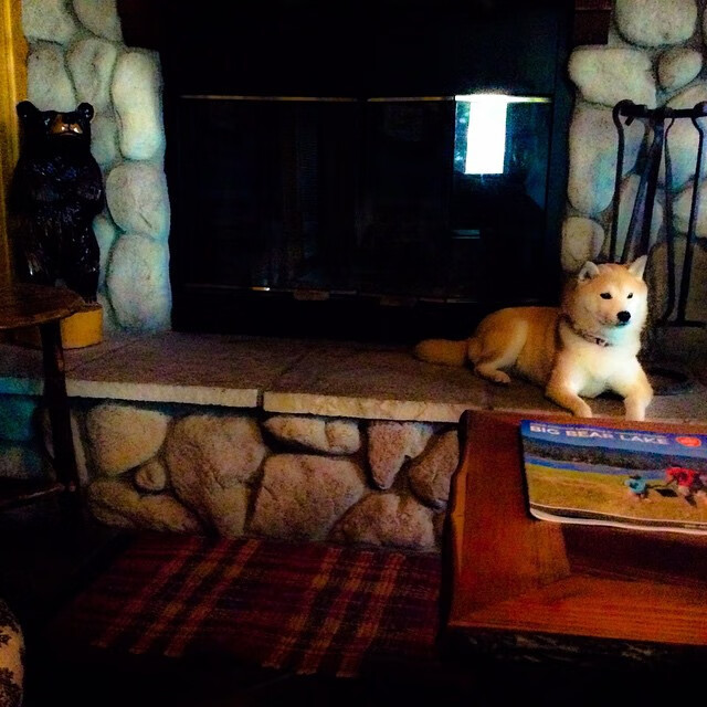 体育场馆绿色节能技术应用,体育馆节能减排建议