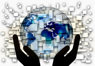 开云官方网站-全国电子竞技公开赛上海收官，全国电子竞技大赛官网2020