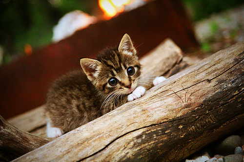 Kaiyun官方登录入口-意甲“榜首之战”：尤文VS那不勒斯排名关键战