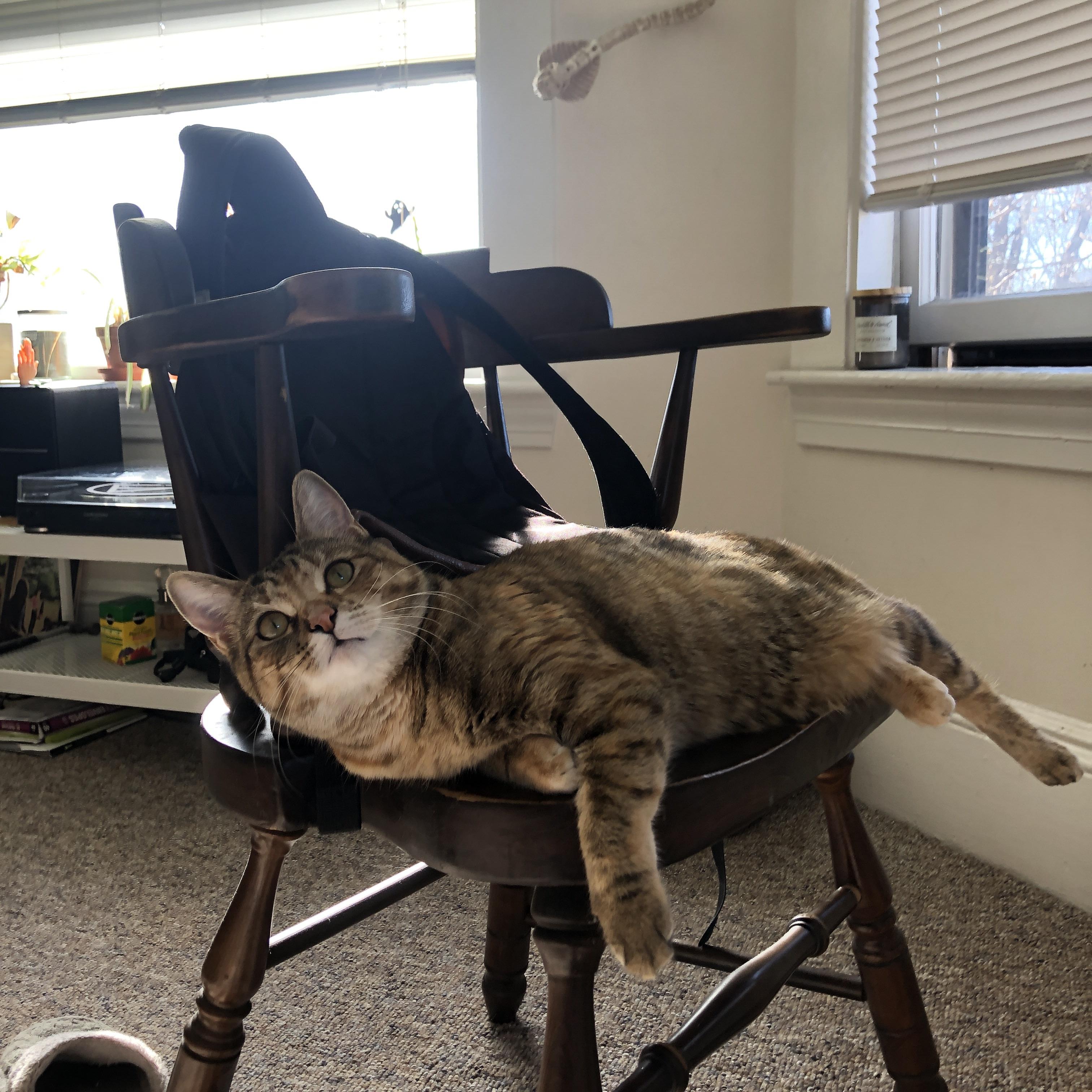 特色竞技:不同国家足球特色的深度解析,各国足球联赛特点