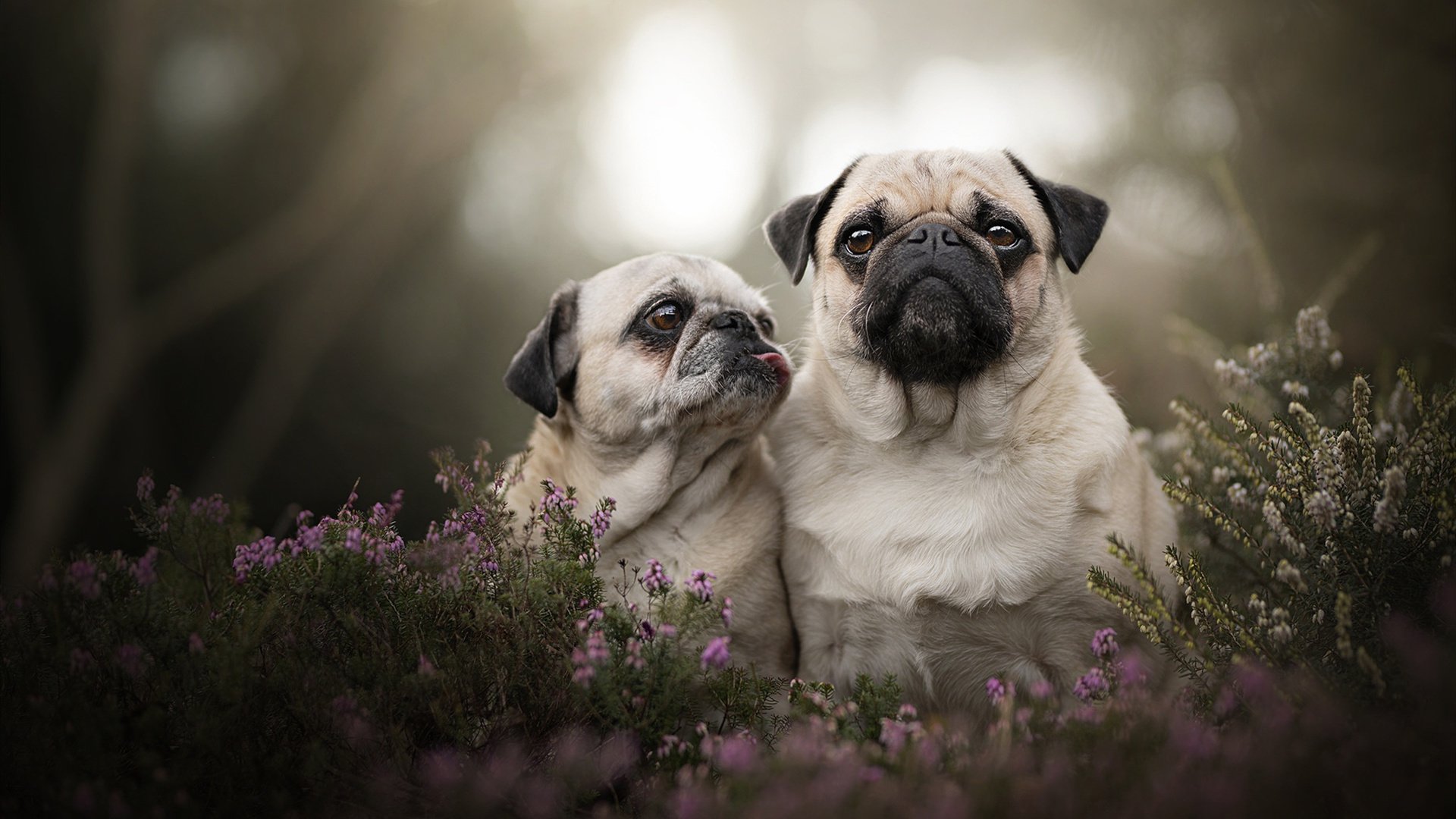 五大联赛是否出现中后场反抢反击成功率提升趋势,五大联赛后卫