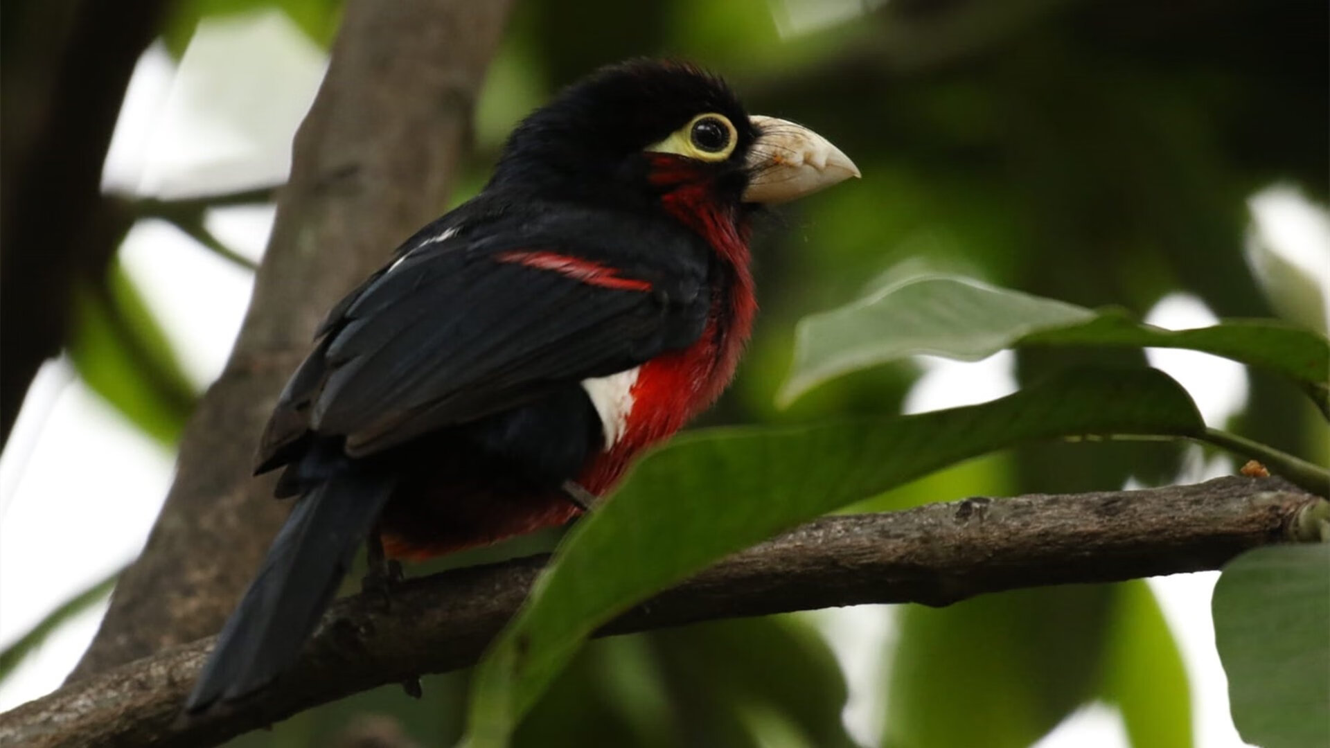 基层球迷文化未能形成社区联动,社区文化活动存在问题