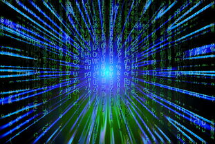 开云中国-新加坡队未来之路：如何在全球乒乓赛事中争夺更多荣誉，新加坡乒乓球厉害吗