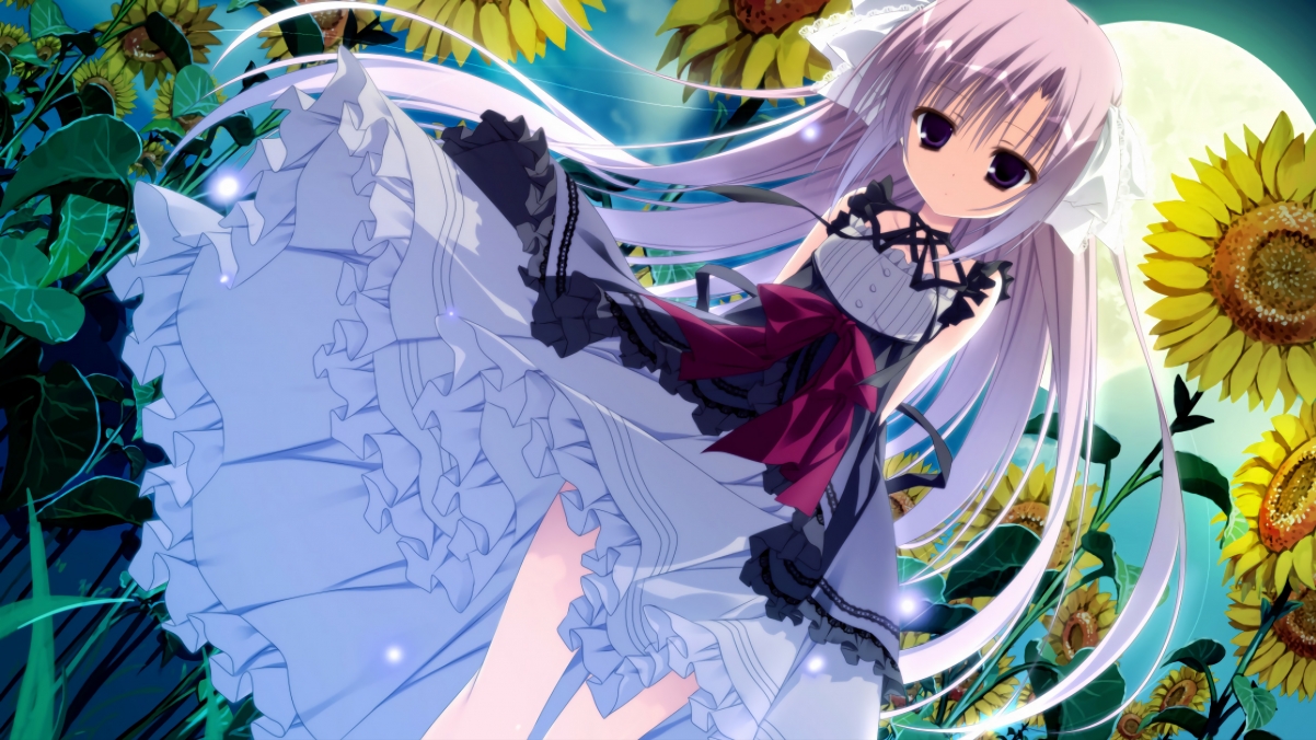 世界杯攻城略地:队长与明星的辉煌时刻,世界杯队伍规则