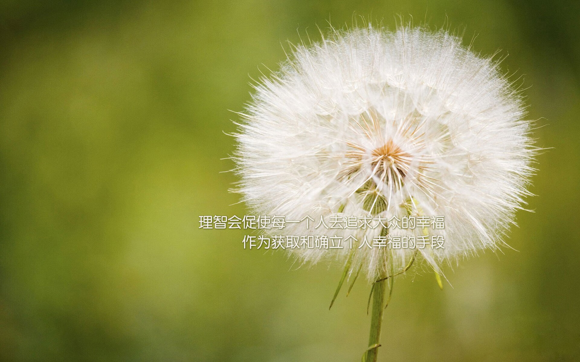 伊拉克男篮在西亚锦标赛中展现实力,奋勇争先