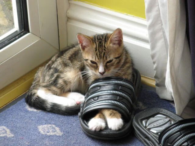 kaiyun开云·官方网站-勇士强势晋级NBA季后赛，nba新赛季勇士