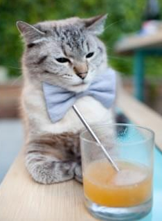 kaiyun开云·官方网站-塞尔维亚男篮在欧洲预赛中奋勇追击，冲刺奥运获胜终点，塞尔维亚男篮进奥运会了吗