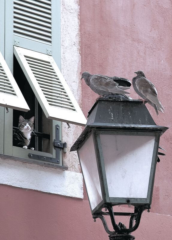 Kaiyun(中国)开云-新兴足球国家连续创造佳绩，区域足球格局正在重塑，新兴足球俱乐部