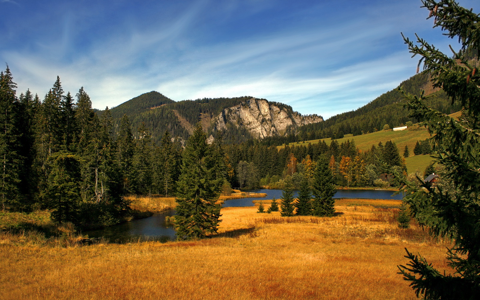 kaiyun官方网站-美洲杯激情夜：明星云集，精彩纷呈，美洲杯经典比赛
