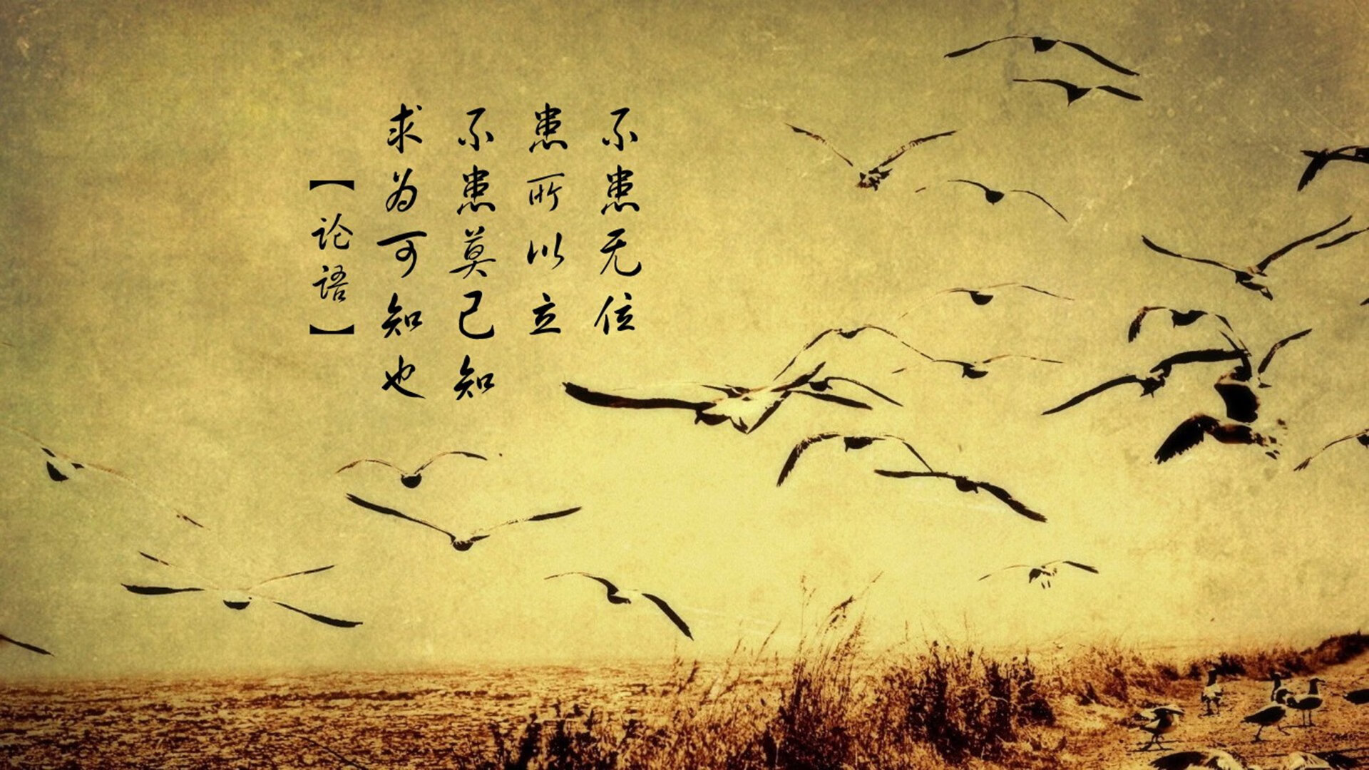 职业联赛增设球员行为规范强化职业素养,职业联赛的要求