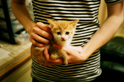 开云平台-马克·阿特金森：南非队的锋线利刃，冲击世界橄榄球巅峰