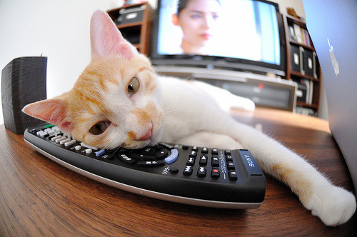 KAIYUNAPP-黎巴嫩男篮在西亚锦标赛中奋勇争先，期待突破极限，黎巴嫩篮球队什么水平